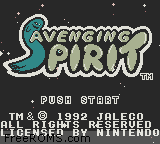 Avenging Spirit Screen Shot 1