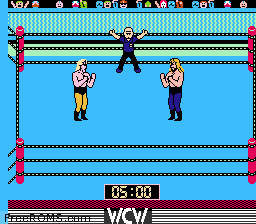 WCW Wrestling Screen Shot 2