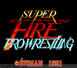 Super Fire Pro Wrestling Screen Shot 1