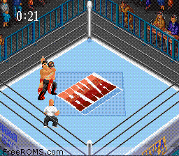 Super Fire Pro Wrestling 2 Screen Shot 2