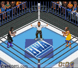 Super Fire Pro Wrestling X Screen Shot 2